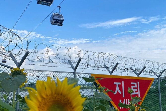 [Private] DMZ & Imjingak Peace Gondola Experience Inter-Korean War - Exploring the Demilitarized Zone (DMZ)