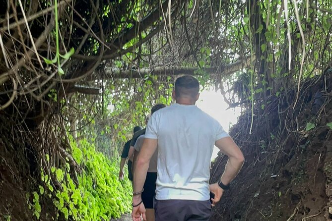 PRIVATE DMZ Tour From Hue - Half Day - Vinh Moc Tunnels - Pricing and Terms