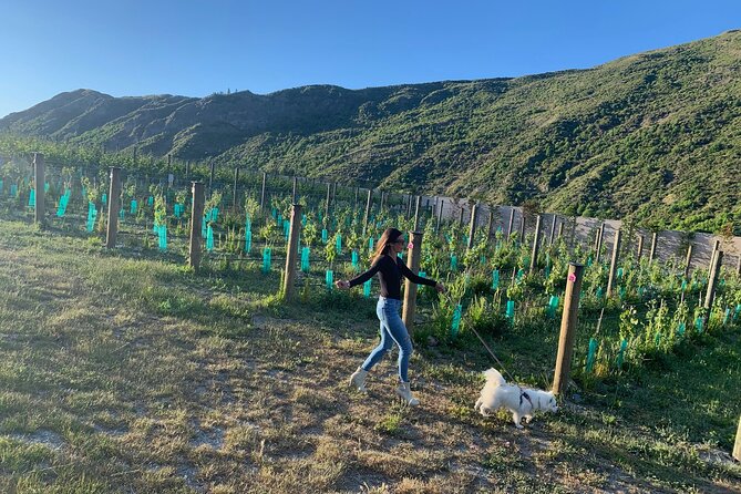 Private Dog Friendly Wine Tour With Your Local Guide - Refund Policy