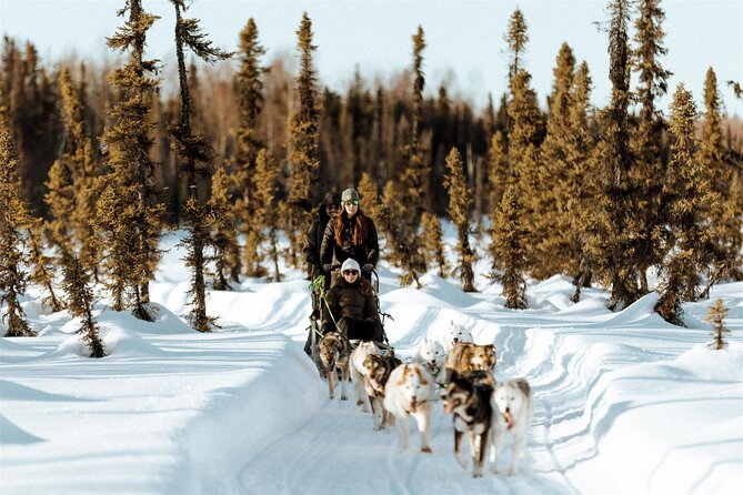Private Dog Sled Tour - Overview of the Tour