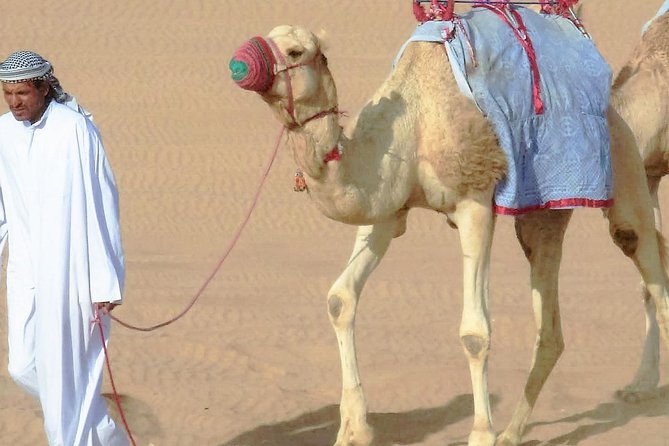 Private Doha Desert With Dune Bash, Camel Ride and Inland Sea - Pricing and Guarantee