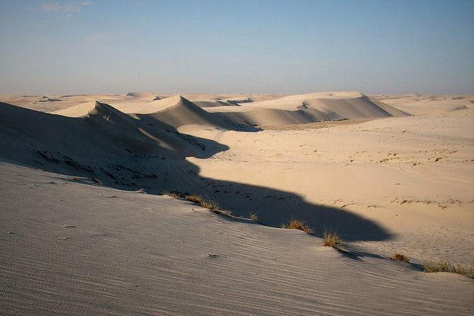 Private Doha Desert With Dune Bash, Camel Ride and Inland Sea - Cancellation Policy