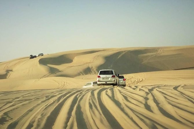 Private Doha Desert With Dune Bash, Camel Ride and Inland Sea - Traveler Reviews