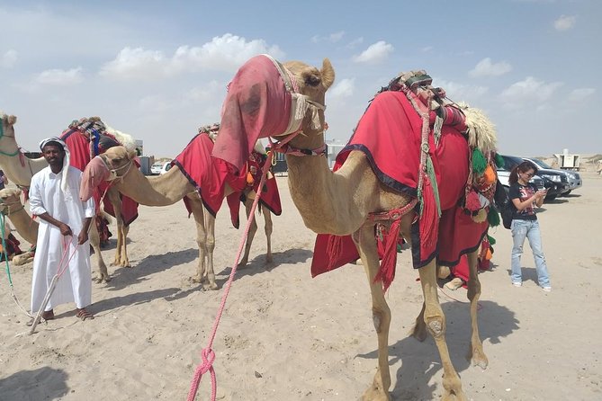 Private Doha Desert With Dune Bash, Camel Ride and Inland Sea - Featured Review