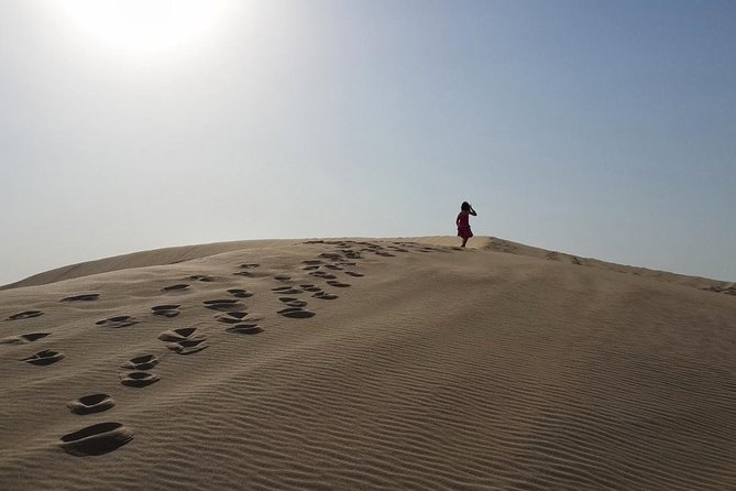 Private Doha Desert With Dune Bash, Camel Ride and Inland Sea - Common Questions
