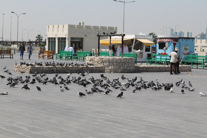 Private Doha Express Tour - Traveler Reviews