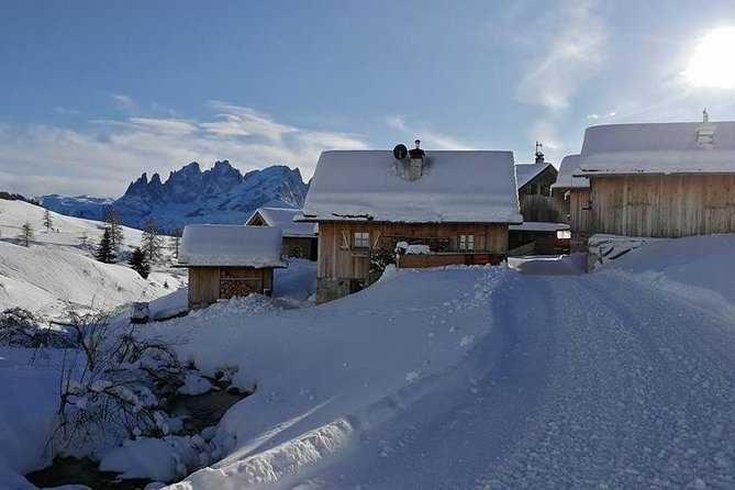 Private Dolomites Day Trip From Venice by Mercedes Class E Lux - Frequently Asked Questions