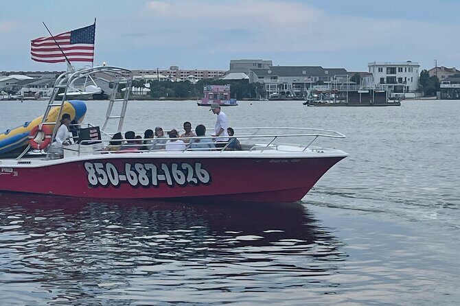 Private Dolphin Cruise - A Closer Look at the Private Dolphin Cruise Experience