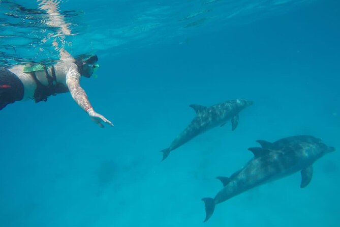 Private Dolphin House Speedboat & One Intro Diving - Hurghada - Pickup Details