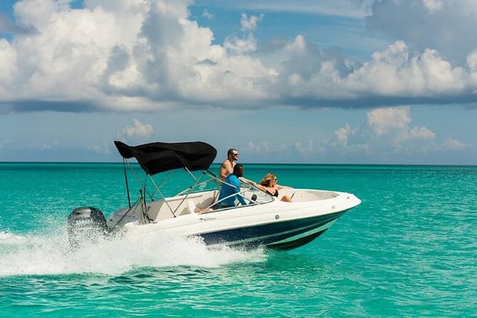 Private Dolphin House Speedboat & One Intro Diving - Hurghada - Experience Highlights