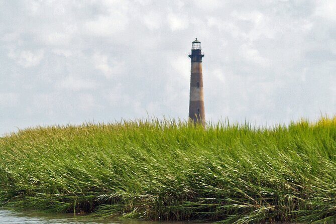Private Dolphin, Lighthouse and Shelling Adventure (Folly Beach) - Good To Know