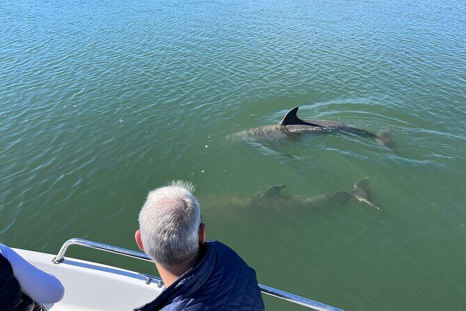 Private Dolphin, Lighthouse and Shelling Adventure (Folly Beach) - Discovering Folly Beach’s Coastal Treasures