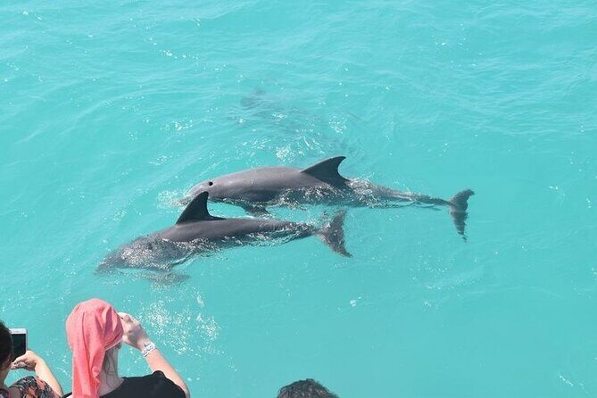 Private Dolphin Playground Safari - FAQs