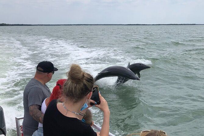 Private Dolphin, Shelling and Birding Tour - The Experience: What to Expect