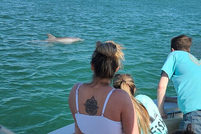 Private Dolphin Sightseeing Excursion - FAQ