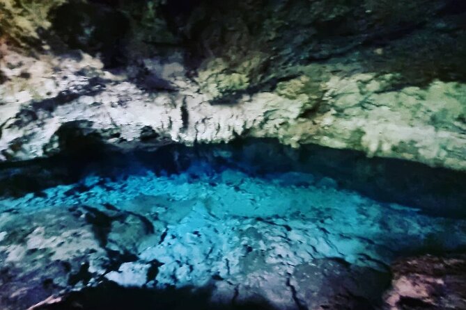 Private Dolphin Tour; Kuza Cave; Paje Beach; The Rock Restaurant; Jozani Forest - Additional Information