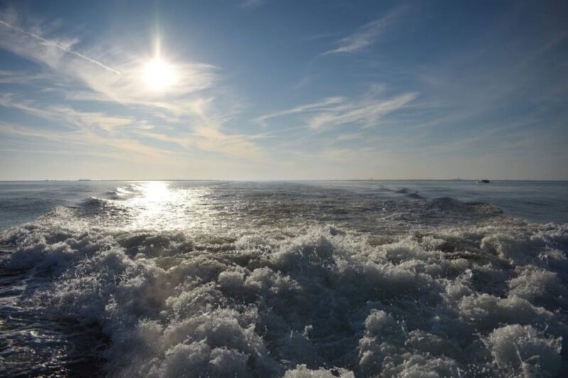 Private Dolphin Tour with Secluded Beach/Snorkel Stop - Exploring the Itinerary & Highlights