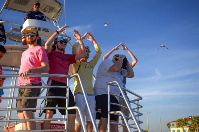 Private Dolphin Tour with Secluded Beach/Snorkel Stop - The Sum Up: Is It Worth It?