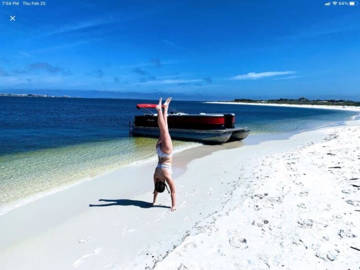 Private Dolphin Tour With Secluded Beach/Snorkel Stop - Experience