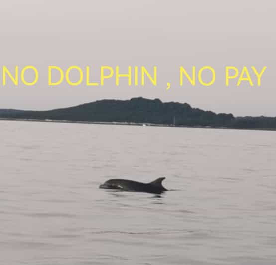 Private Dolphin Tour With Speedboat, No Dolphin No Pay - Tour Overview