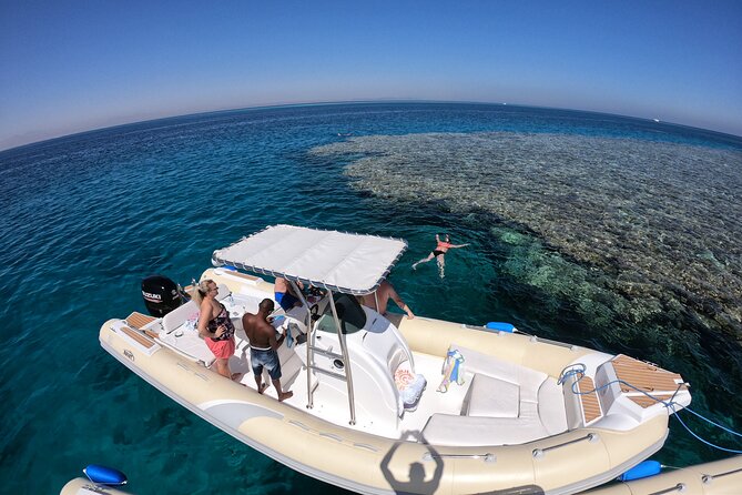Private Dolphin Watching And Snorkeling Tour - Private Speedboat Experience