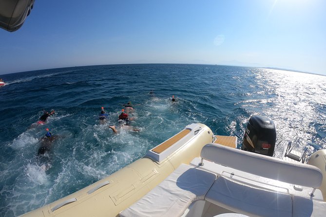 Private Dolphin Watching And Snorkeling Tour - Snorkeling at Colorful Coral Reefs