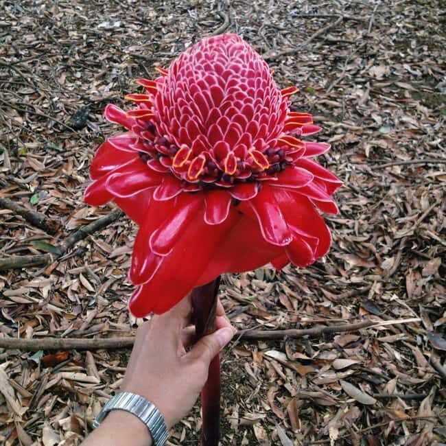 Private: Dominican Highlands & Taino Culture Day Trip - Cost and Value