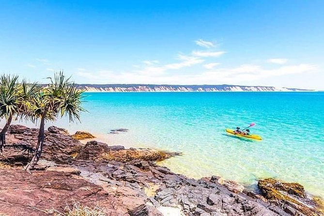 Private Double Island Wildlife Tour - Noosa - Tour Overview and Activities