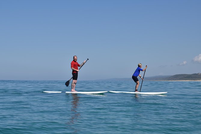 Private Double Island Wildlife Tour - Noosa - Meeting and Pickup Points