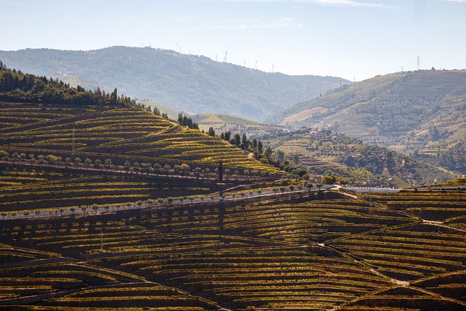 Private Douro 4x4 Adventure From Porto - Pricing and Terms