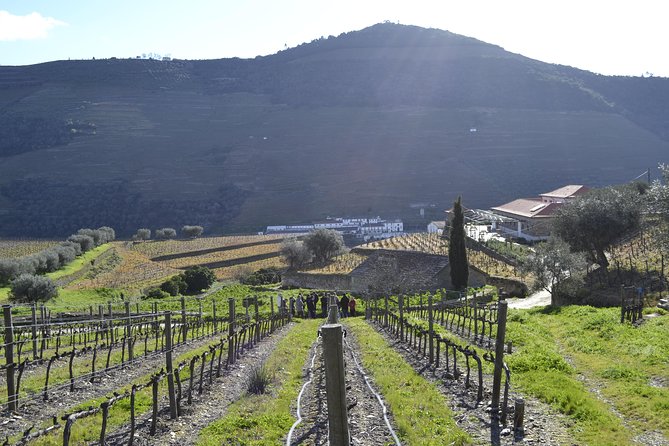 Private Douro 4x4 Adventure From Porto - What to Expect