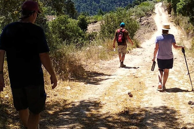 Private Douro and Porto 4x4 Tour With Wine Tasting and Boat Trip - Wine Tasting Experience