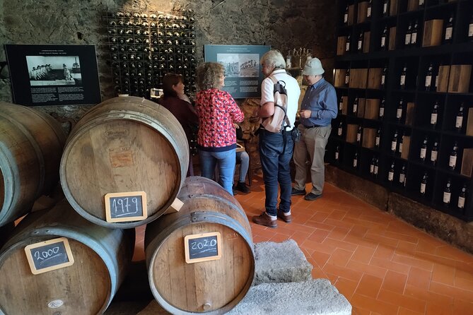 Private Douro Tour With 2 Wineries and Lunch on a Century House - Tour Highlights