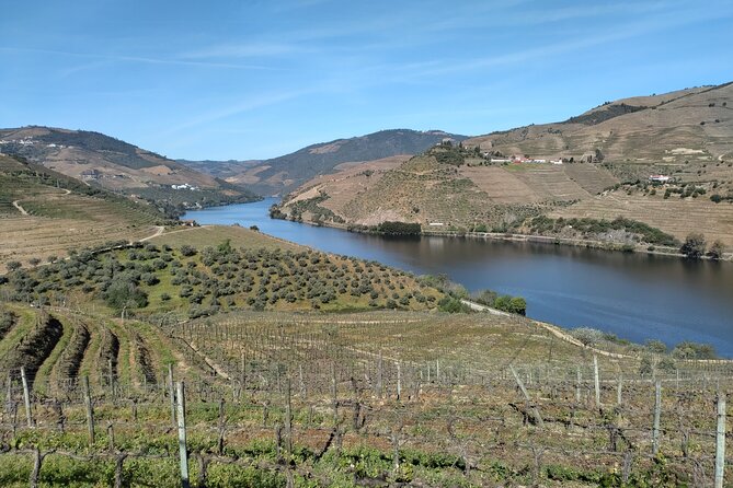 Private Douro Tour With 2 Wineries and Lunch on a Century House - Reviews and Ratings