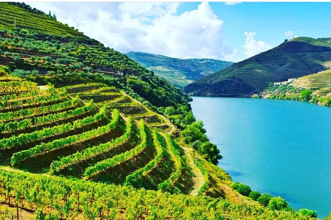 Private Douro Valley Food and Wine Tour From Porto - Tour Duration and Pickup Information