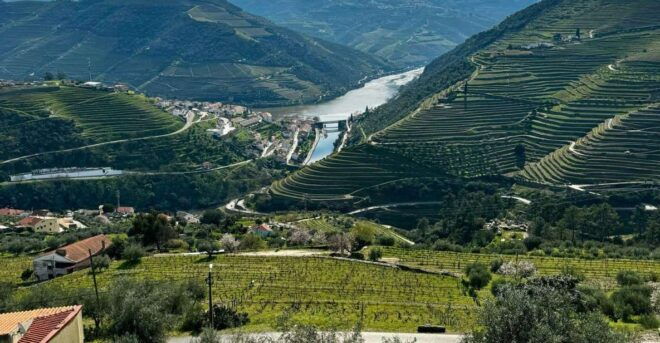 Private Douro Valley Full Day Tour - Guide and Pickup Information
