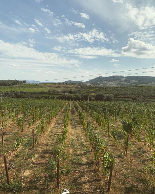 Private Douro Valley Full Day Tour - Group Size and Cancellation Policy