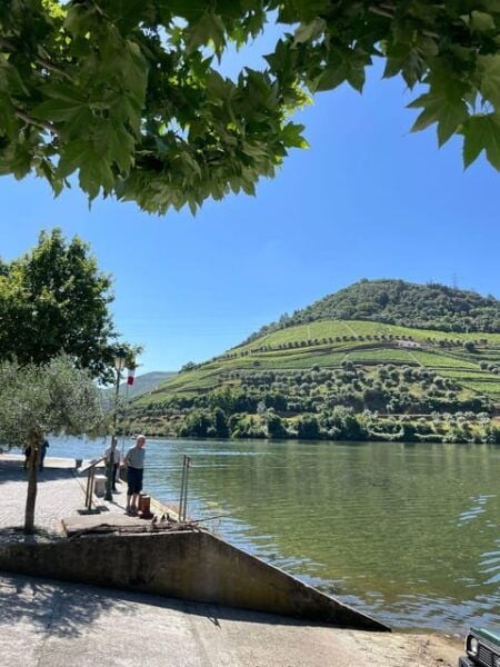 Private Douro Valley Guided Tour With Lunch - Included Activities