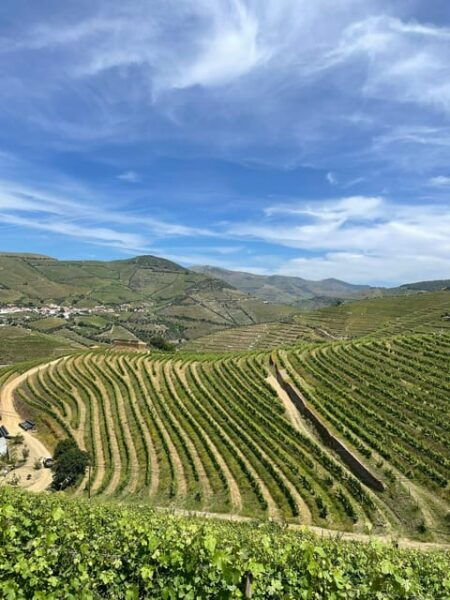 Private Douro Valley Guided Tour With Lunch - Cultural Experiences