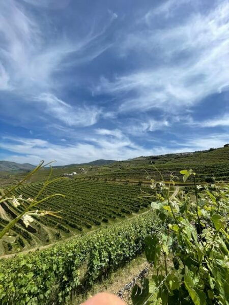 Private Douro Valley Guided Tour With Lunch - Frequently Asked Questions