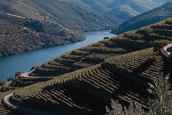 Private Douro Valley Tour Includes Wine Tasting and Boat Tour - Boat Tour on the Douro River