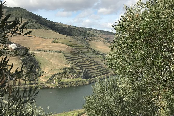 Private Douro Valley Tour Includes Wine Tasting and Boat Tour - Pricing and Group Size Options