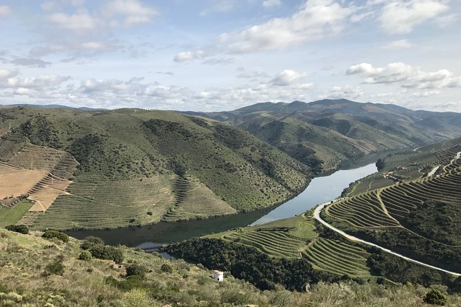 Private Douro Valley Tour Includes Wine Tasting and Boat Tour - Customer Reviews and Ratings