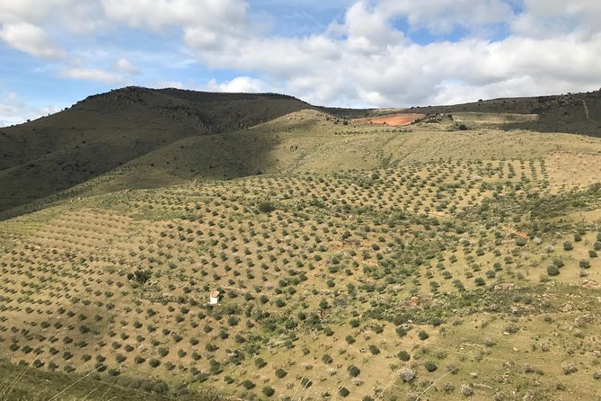 Private Douro Valley Tour Includes Wine Tasting and Boat Tour - Common Questions