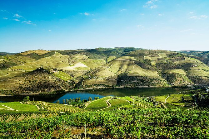 Private Douro Valley Tour Including 3 Wineries - Common Questions