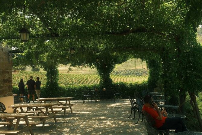 Private Douro Valley Tour With Lunch & Wines - Convenient Transportation and Logistics