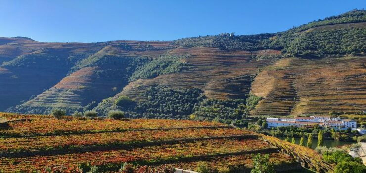 Private Douro Valley Two Wine Tasting River Cruise Lunch - Tour Overview