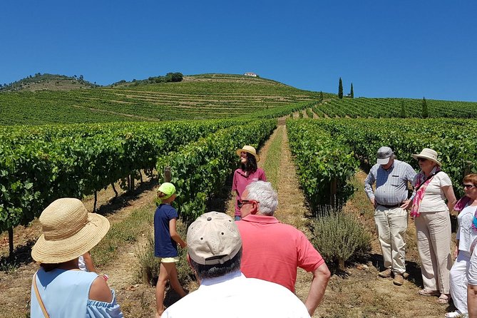 Private Douro Valley Wine Tour: 2 Wine Estates, Lunch and River Cruise - Good To Know