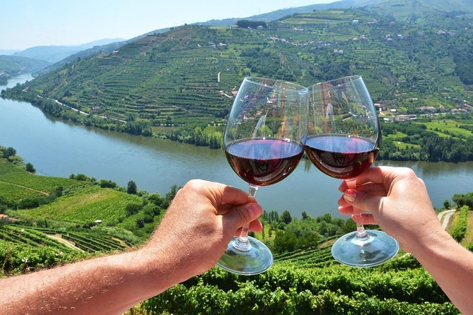 Private Douro Valley Wine Tour: 2 Wine Estates, Lunch and River Cruise - Highlights, Customer Satisfaction, and Company Appreciation