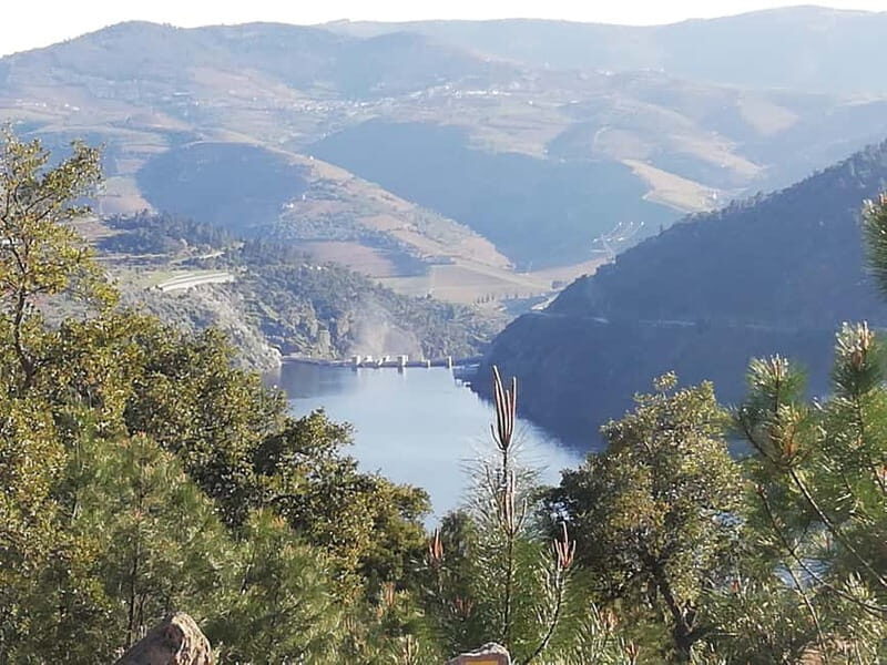 Private Douro Wine Experience - Full Day in the Douro Valley - Why This Tour Suits You